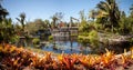 Reflective pond with water lilies and plants at the Naples Botanical Gardens